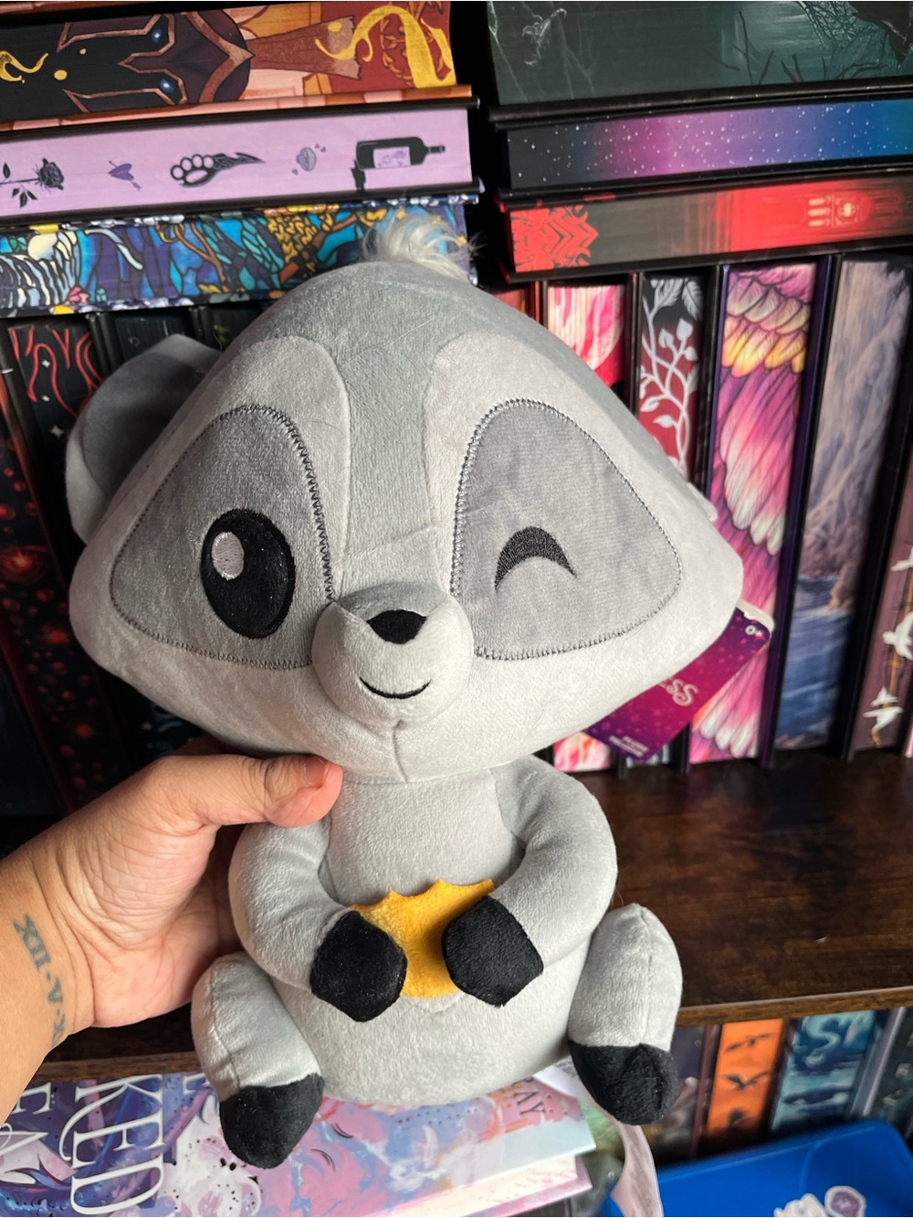 Disney Park Meeko Pocahantos Plush New